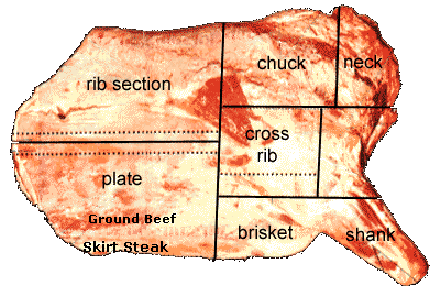 Beef Sections Chart