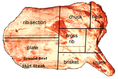 The best cut from the fore or front quarter of beef is the rib steak (and roast) section.