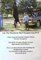 Beef Slaughtering DVD