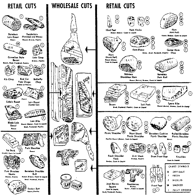 Pork Skeletal Chart