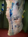 Click the picture to enlarge.  Hanging quarter of USDA Prime Beef.