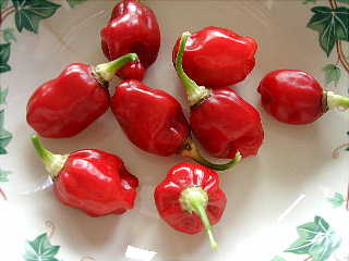 Photograph of Red (Cayenne) Peppers. Purchase One 4 oz. Bag of Ground Red Pepper for $9.95 - Shipped FREE!